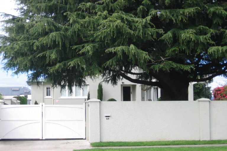 Photo of property in 48 Fraser Street, Tauranga South, Tauranga, 3112