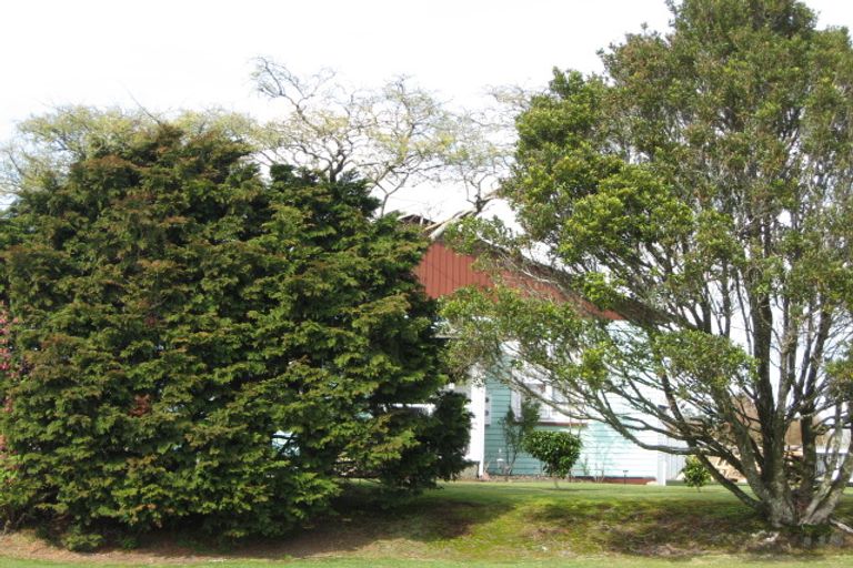 Photo of property in 11 Celia Street, Stratford, 4332