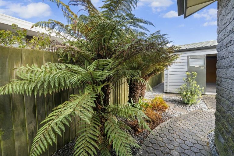 Photo of property in 3 Raymond Road, Bromley, Christchurch, 8062