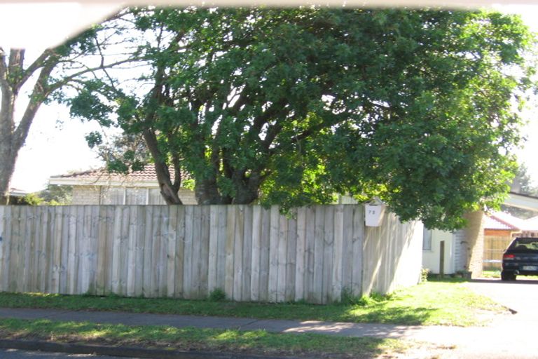 Photo of property in 72 Old Wairoa Road, Papakura, 2110