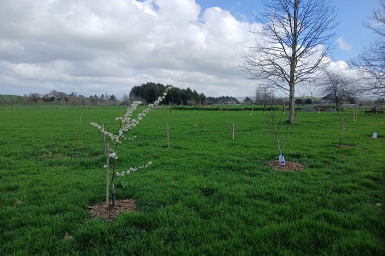 Photo of property in 1007 Horotiu Road, Whatawhata, 3288