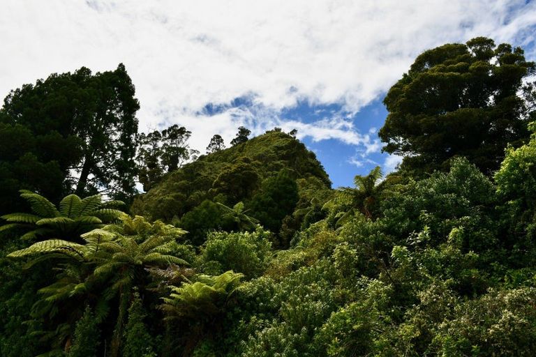 Photo of property in 216 Kongahu Swamp Road, Little Wanganui, Karamea, 7893