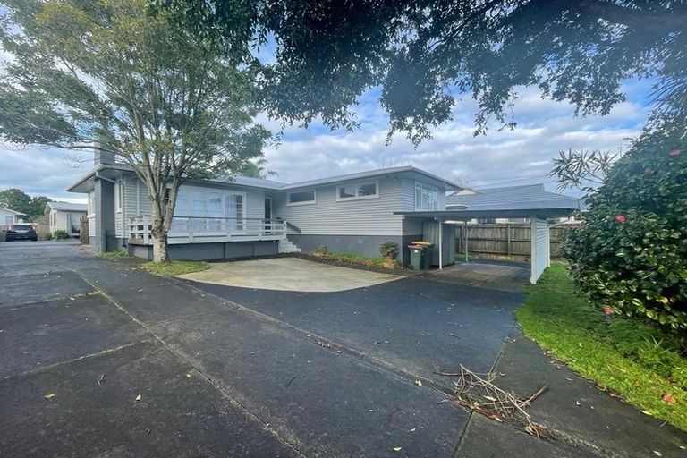 Photo of property in 13 Larnoch Road, Henderson, Auckland, 0610
