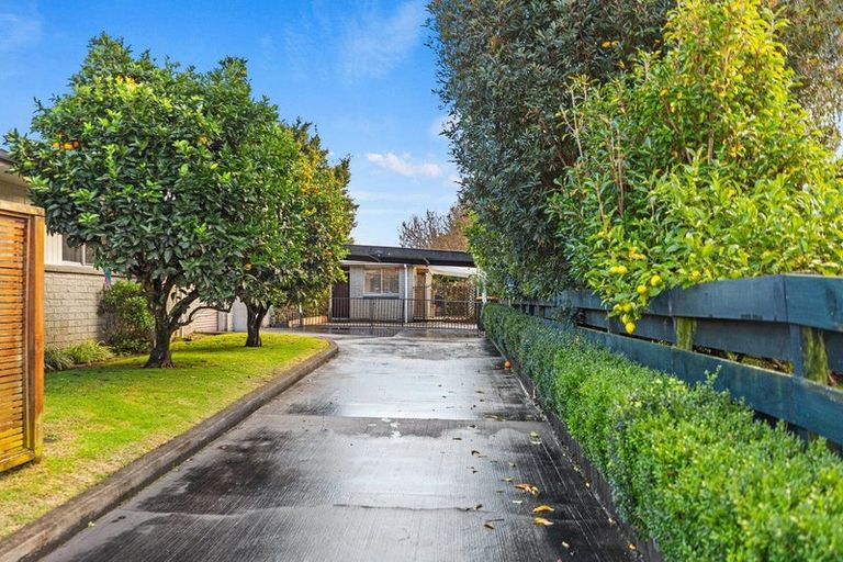 Photo of property in 16 Te Hono Street, Maungatapu, Tauranga, 3112