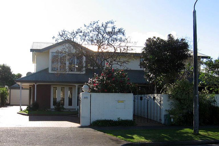 Photo of property in 105 Dittmer Drive, West End, Palmerston North, 4412