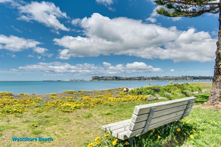 Photo of property in 53a The Esplanade, Westshore, Napier, 4110