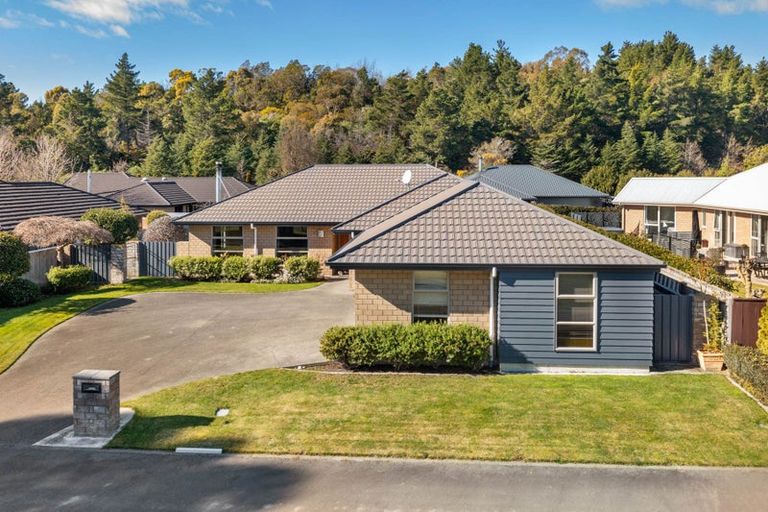 Photo of property in 181 Taylor Pass Road, Witherlea, Blenheim, 7201