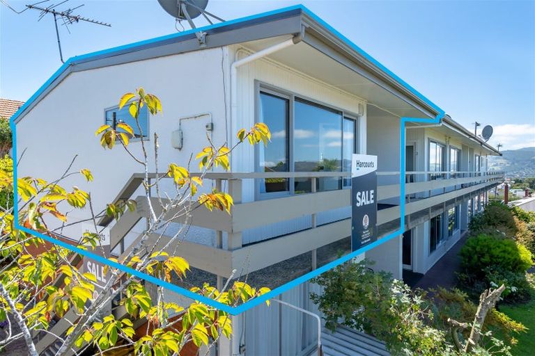 Photo of property in 19f Sheen Street, Roslyn, Dunedin, 9010