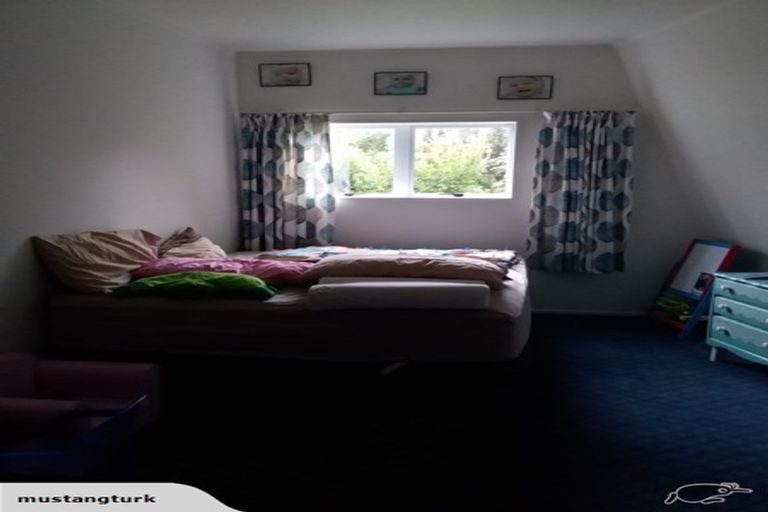 Photo of property in 7 Dundas Street, Porangahau, 4293