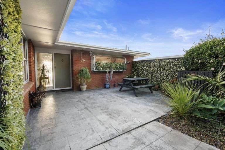 Photo of property in 52 Vine Avenue, Maungatapu, Tauranga, 3112