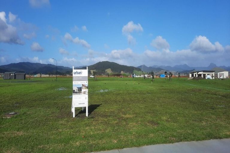 Photo of property in 313 Matarangi Drive, Matarangi, Whitianga, 3592