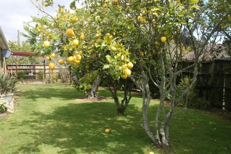 Photo of property in 8 Vogel Street, Kawerau, 3127