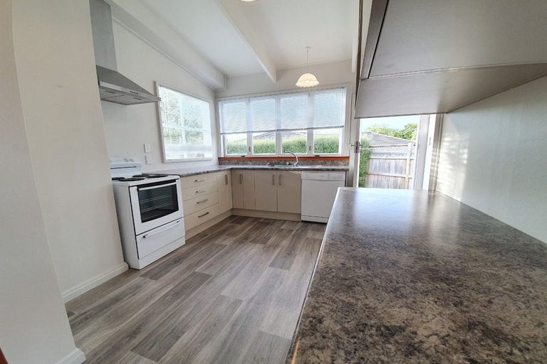 Photo of property in 38 Knowles Street, Terrace End, Palmerston North, 4410