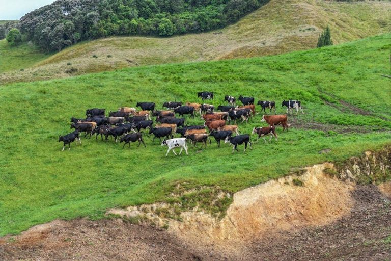 Photo of property in 880 Kopuku Road, Maramarua Forest, Pokeno, 2471