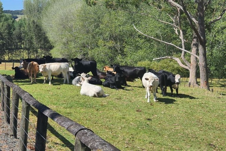 Photo of property in 59c Oturu Road, Kaitaia, 0482