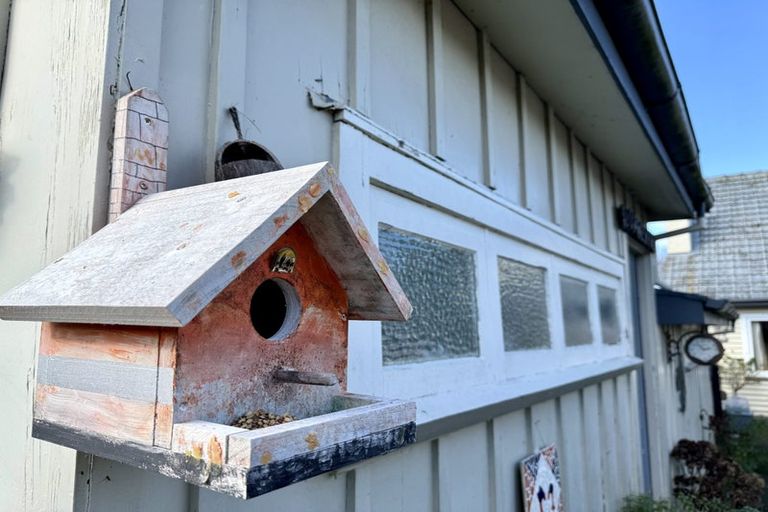 Photo of property in 34 Queen Street, Dannevirke, 4930