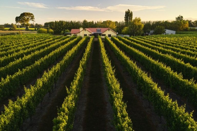 Photo of property in 91 Hillocks Road, Spring Creek, Blenheim, 7273