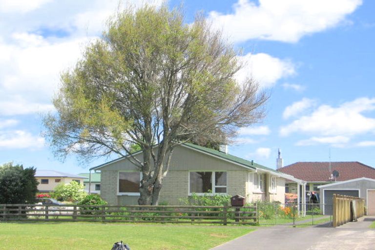 Photo of property in 73 Burwood Road, Matamata, 3400
