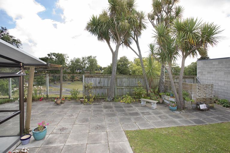 Photo of property in 19 Fitzroy Street, Terrace End, Palmerston North, 4410