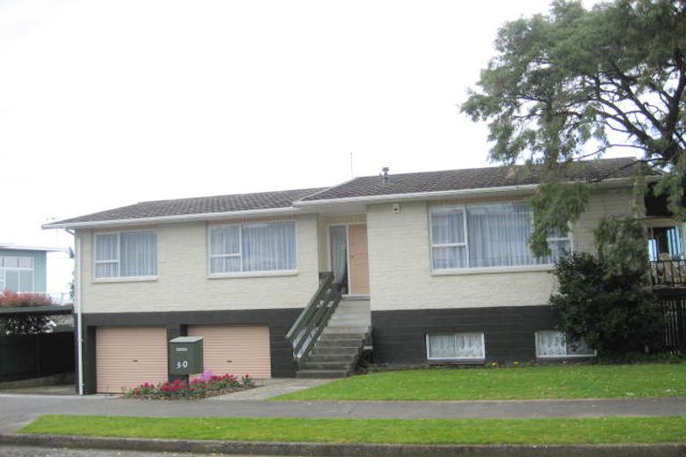 Photo of property in 30 Lancaster Street, Levin, 5510