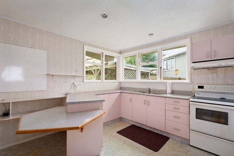 Photo of property in 105 Harvey Crescent, Thames, 3500