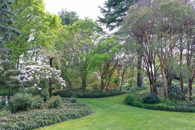 Photo of property in 195 Duncan Road, Tamahere, Hamilton, 3283