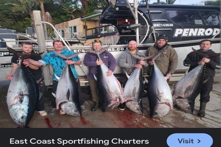 Photo of property in 8361 State Highway 35, Whanarua Bay, Opotiki, 3199