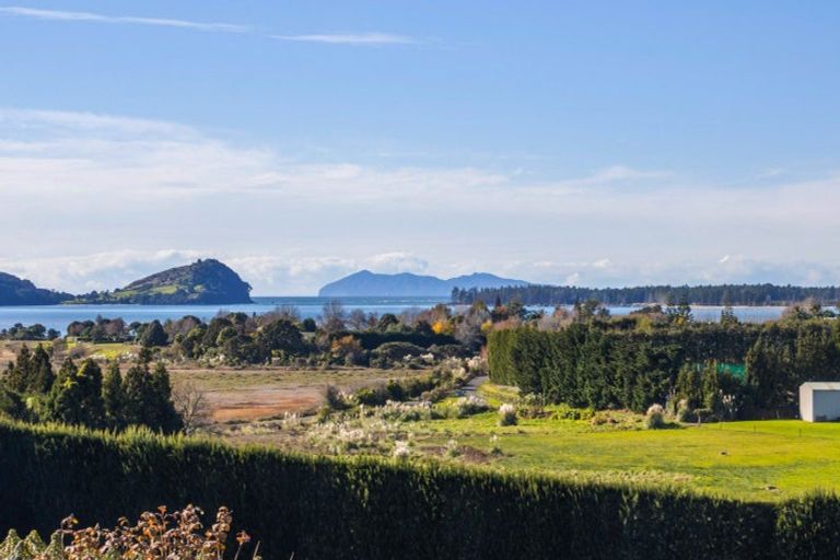 Photo of property in 252 Tuapiro Road, Tahawai, Katikati, 3170