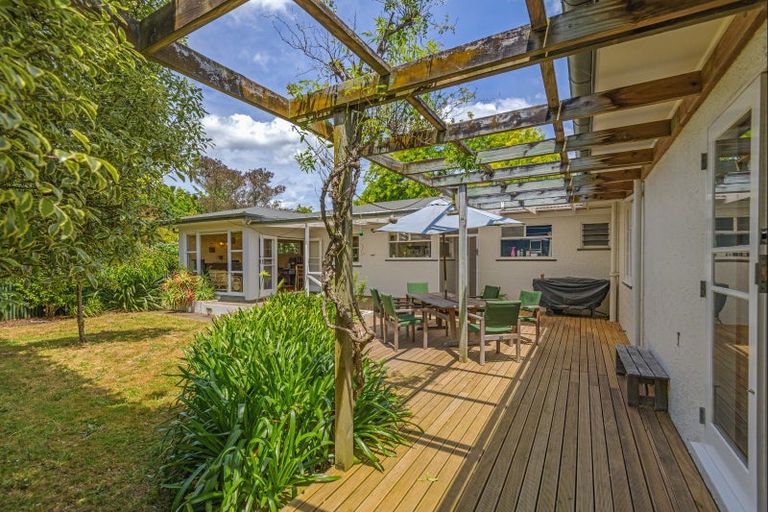 Photo of property in 41 Saint Albans Avenue, Hokowhitu, Palmerston North, 4410