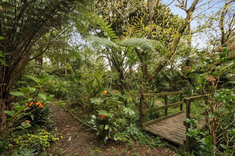 Photo of property in 25 Gilmour Street, Waihi, 3610