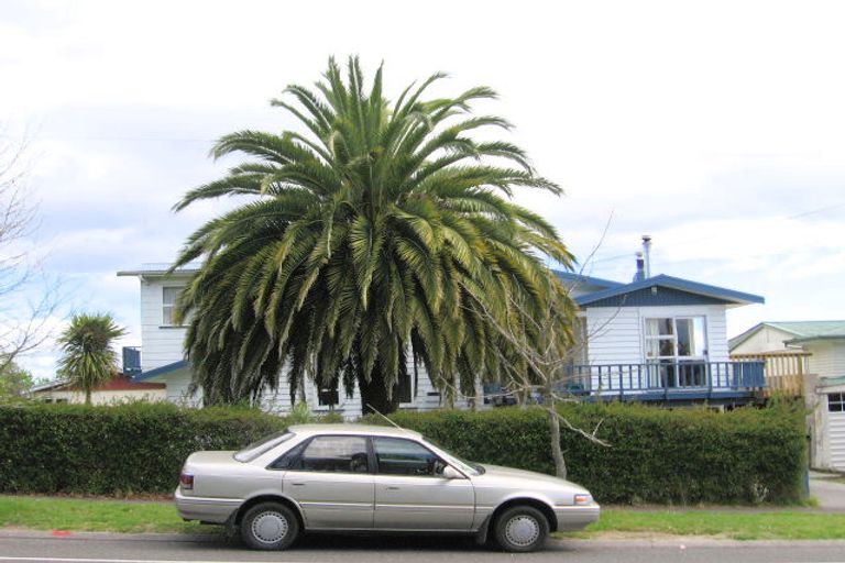 Photo of property in 57 Tamatea Road, Taupo, 3330