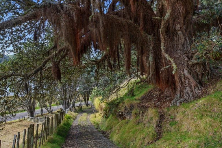 Photo of property in 107 Ohiwa Loop Road, Waiotahe, Opotiki, 3198