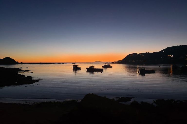 Photo of property in 9/20 Trent Street, Island Bay, Wellington, 6023