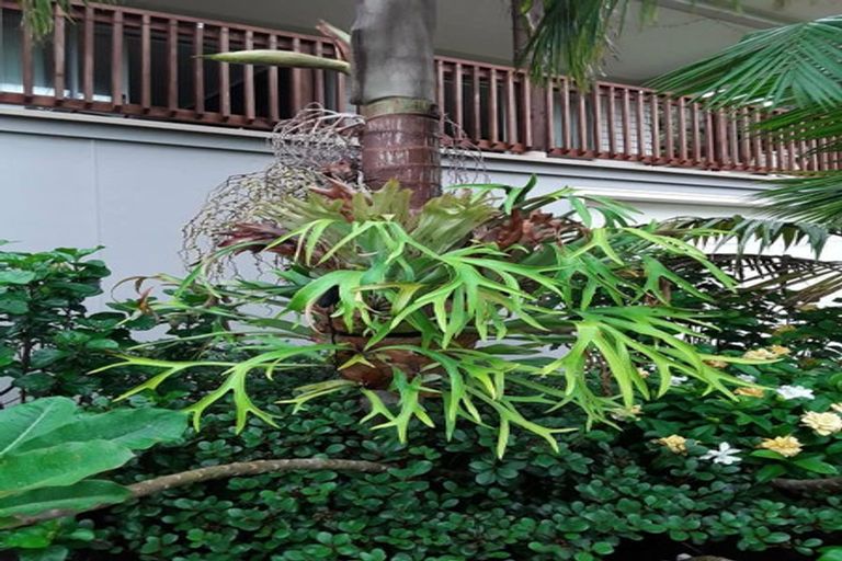 Photo of property in 139 Ota Point Road, Whangaroa, Kaeo, 0478