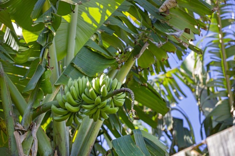 Photo of property in 385a Wainui Road, Raglan, 3297