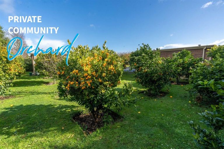 Photo of property in 46/46 Peachgrove Road, Hamilton East, Hamilton, 3216