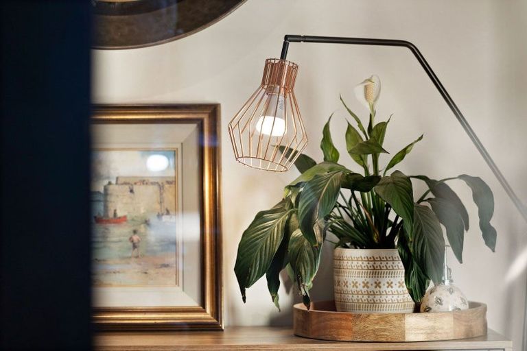 Photo of property in 1 Parera Lane, Jacks Point, Queenstown, 9371