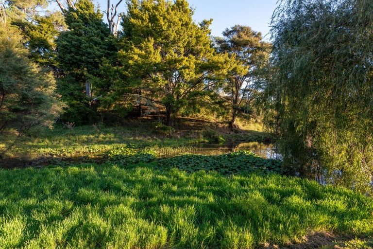 Photo of property in 896 Haruru Road, Wainui, Kaukapakapa, 0873
