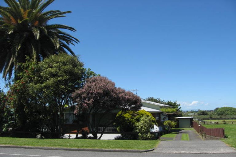 Photo of property in 556 Cambridge Road, Te Awamutu, 3800