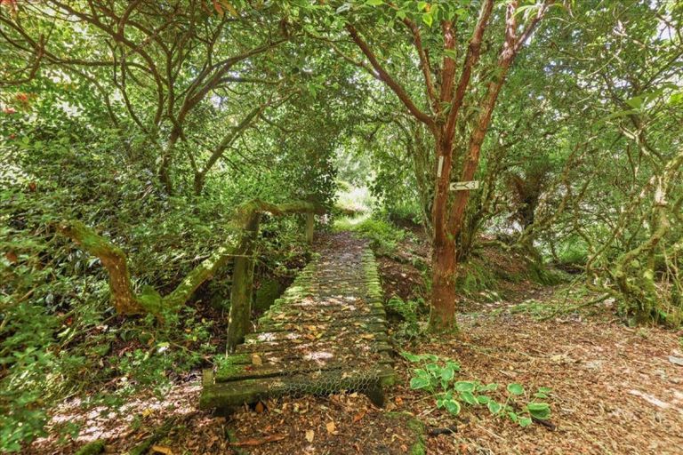 Photo of property in 488 Tapuwae Road, Maniaiti / Benneydale, Te Kuiti, 3987