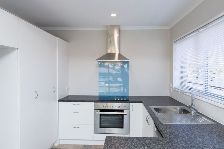 Photo of property in 411a Ruahine Street, Terrace End, Palmerston North, 4410