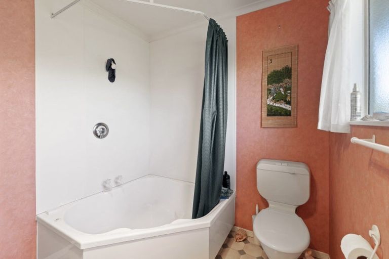 Photo of property in 77 Parker Avenue, Levin, 5510