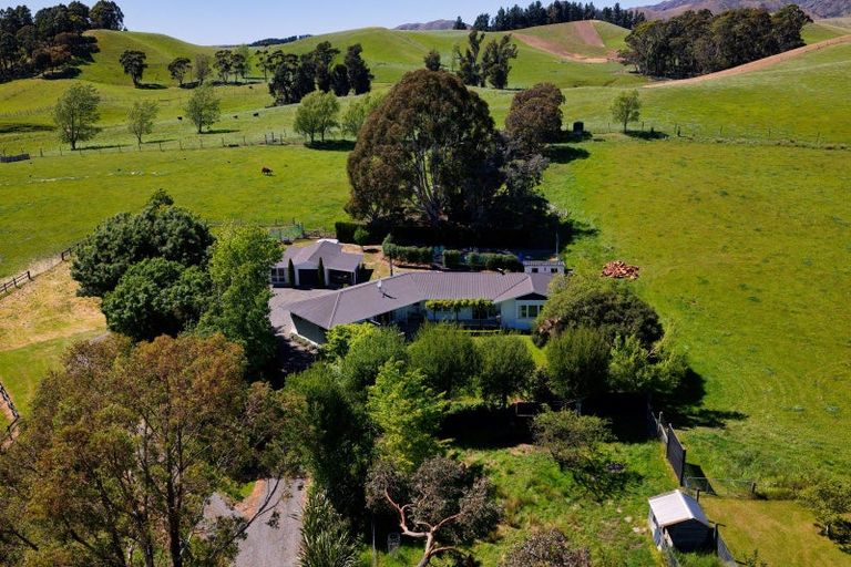 Photo of property in 1519 Marama Road, Seddon, 7285