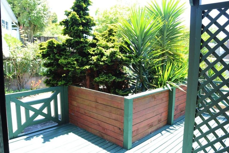 Photo of property in 50 Pelorus Street, Glenview, Hamilton, 3206