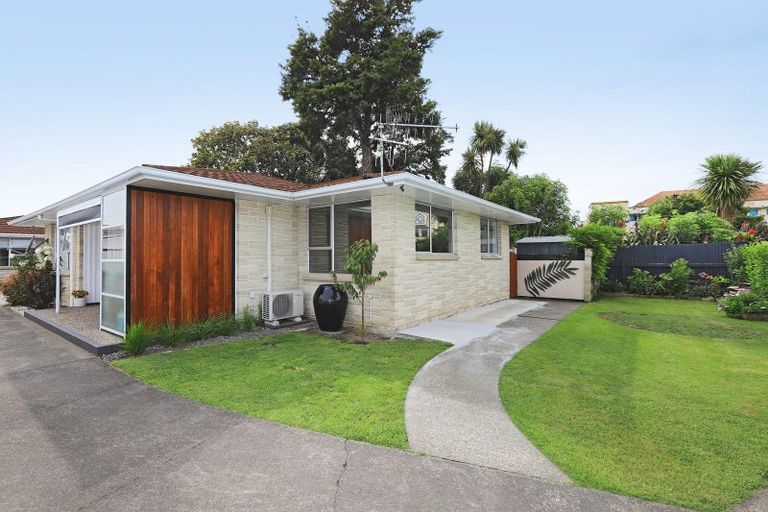 Photo of property in 220a Wolseley Street, Mayfair, Hastings, 4122