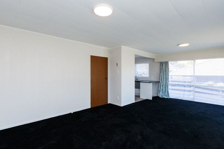 Photo of property in 411a Ruahine Street, Terrace End, Palmerston North, 4410