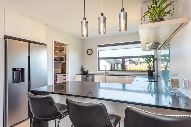 Photo of property in 41 Mills Road, Marshland, Christchurch, 8051