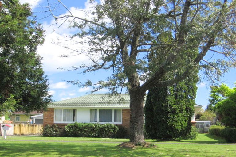 Photo of property in 71 Burwood Road, Matamata, 3400