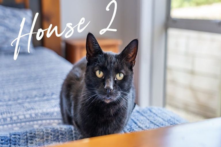 Photo of property in 103 Te Puia Drive, Aotea, Porirua, 5024