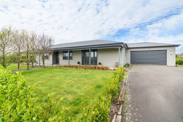 Photo of property in 1 Sambar Lane, Feilding, 4775
